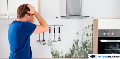 HYDROBLOKER Osuszanie Budynków